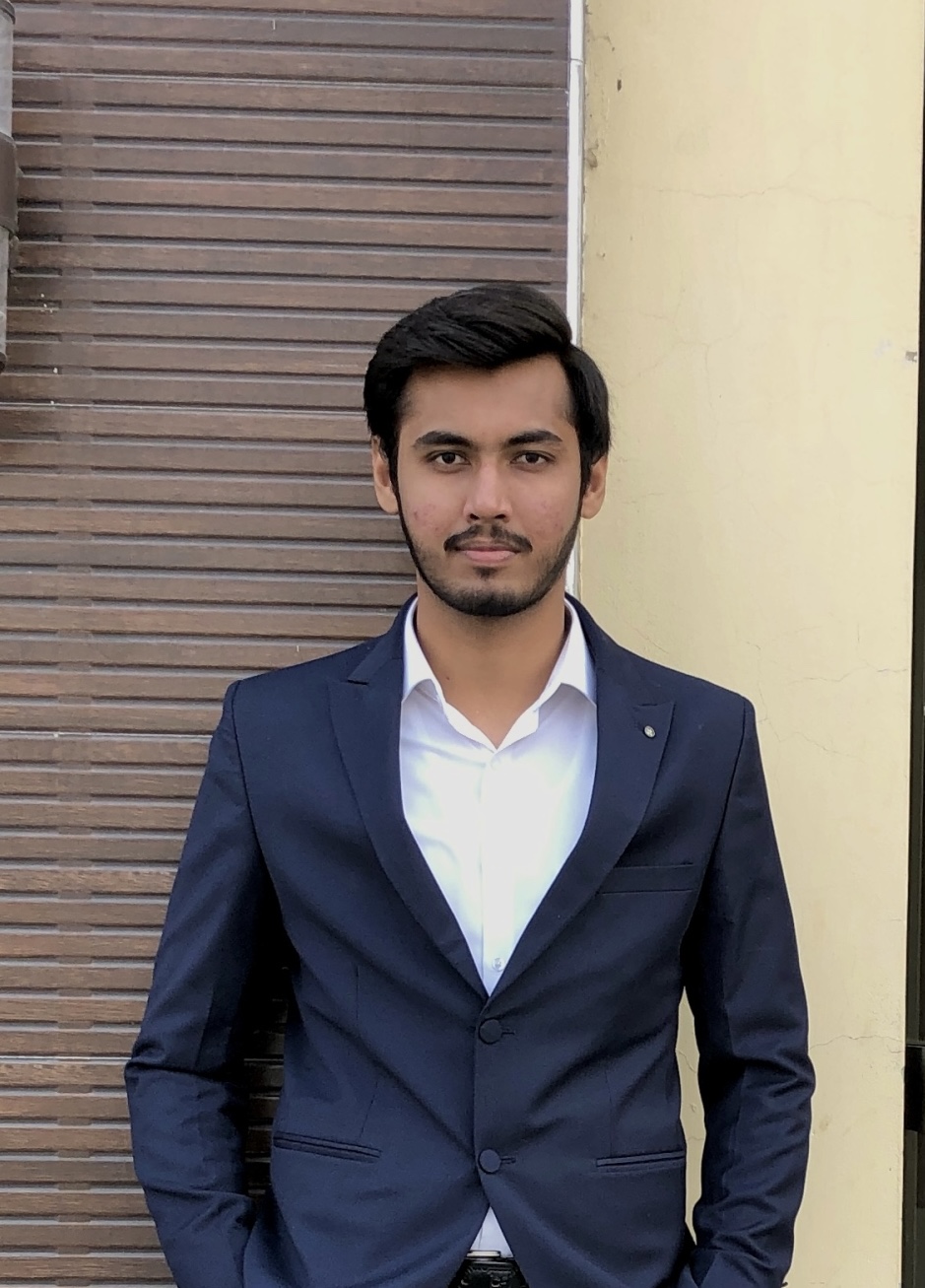 Anas_bisal
