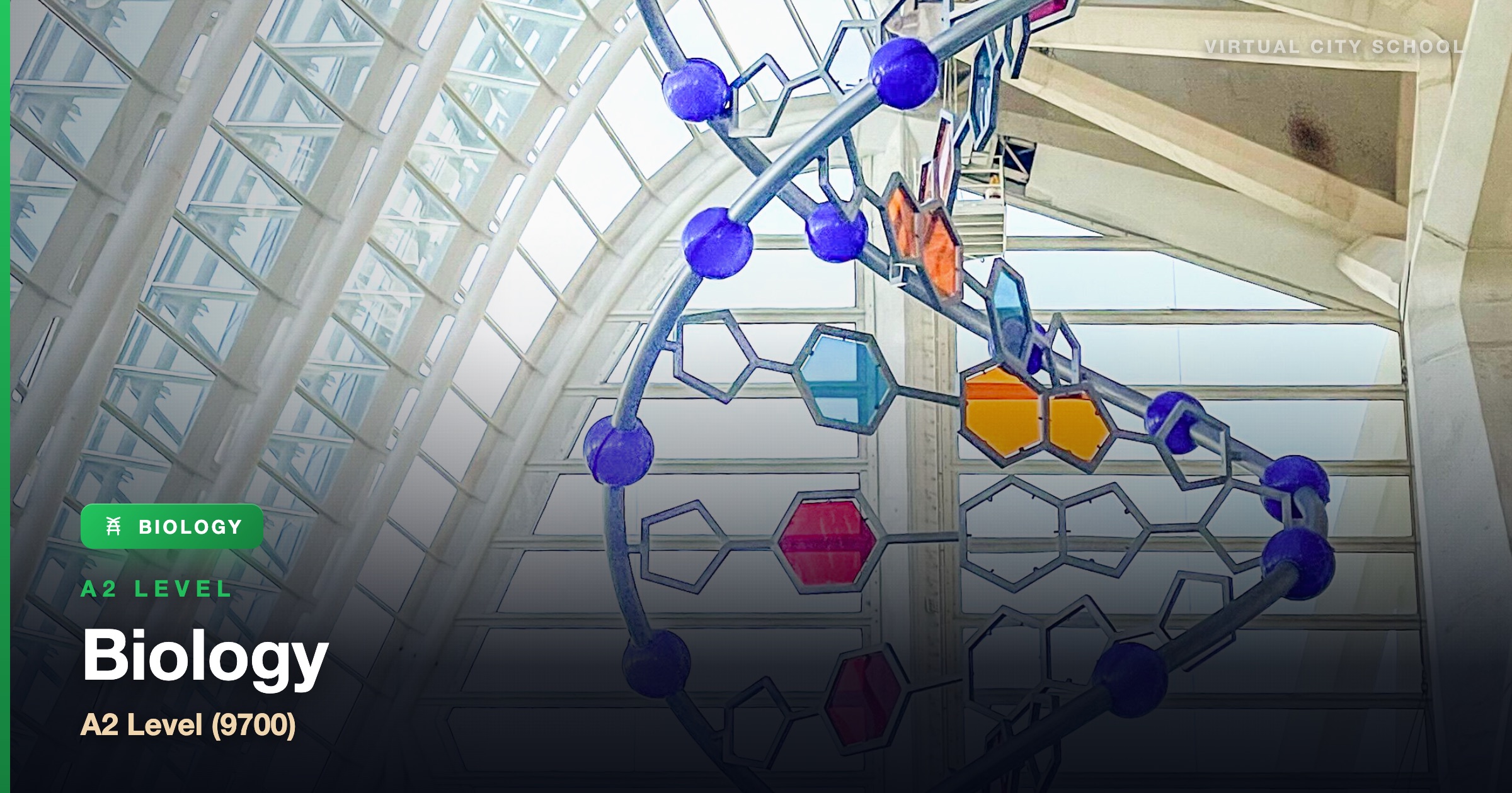 Biology — A2 Level (9700)