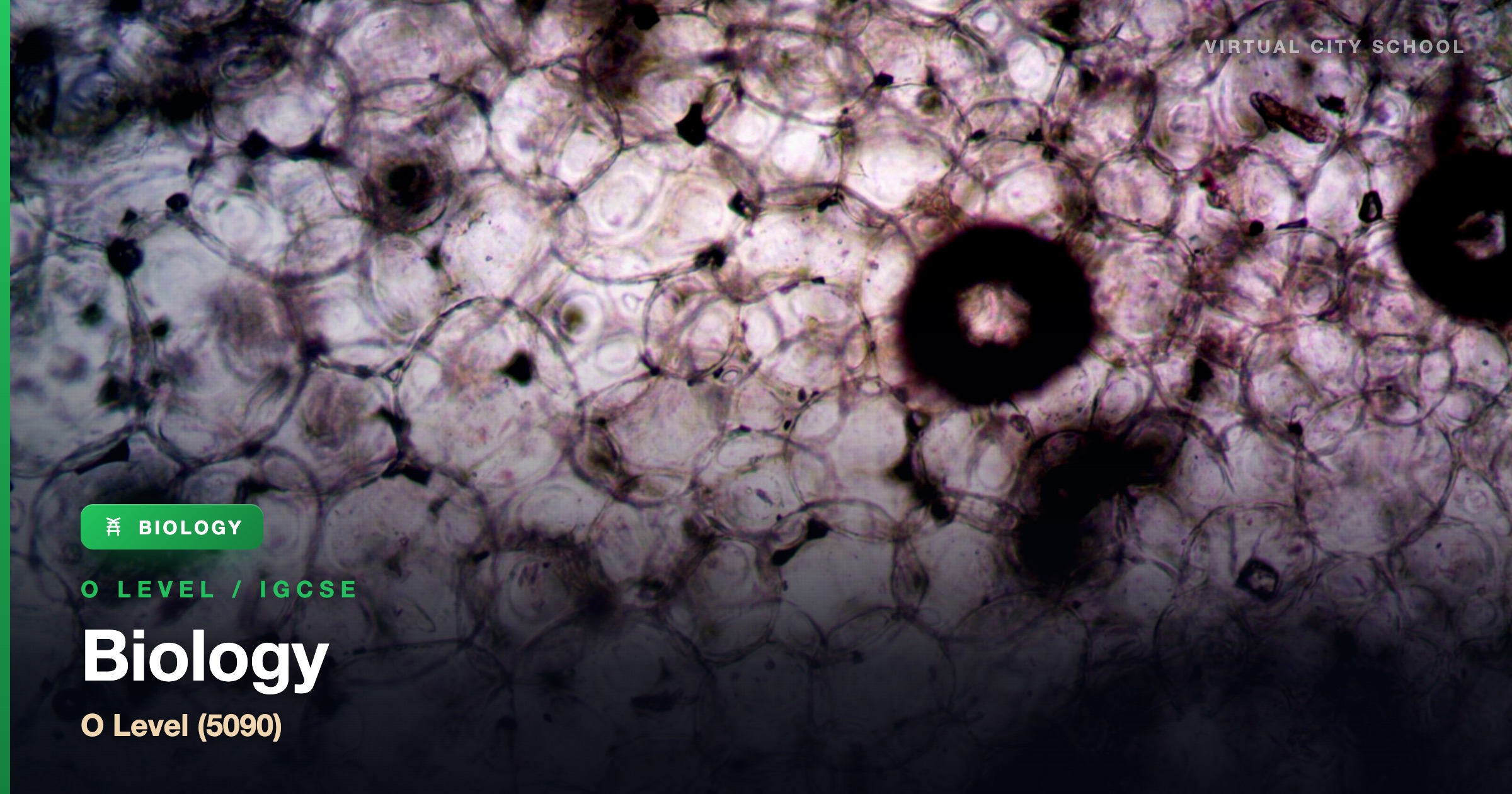 Biology — O Level (5090)