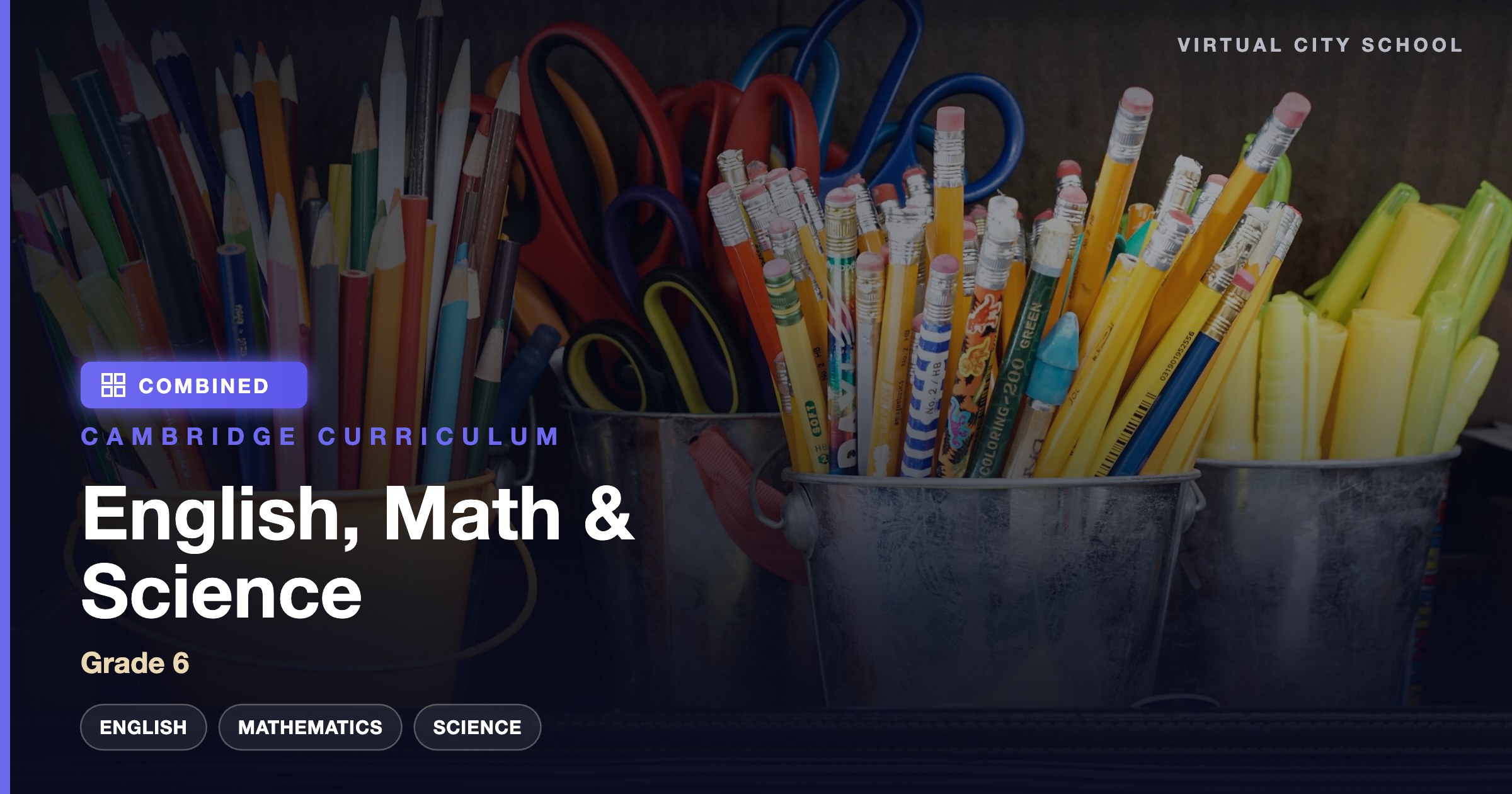 Grade 6 English, Maths, Science (Cambridge Curriculum)
